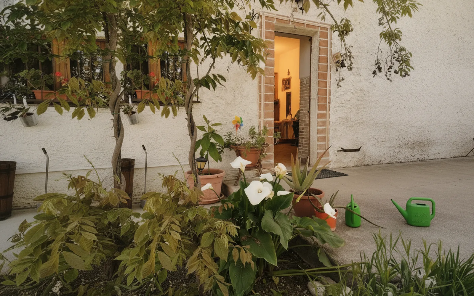 Esterni di Agriturismo Le Terre d'Abruzzo - Tenuta Grumelli, Ticchione (Abruzzo) (foto 14)