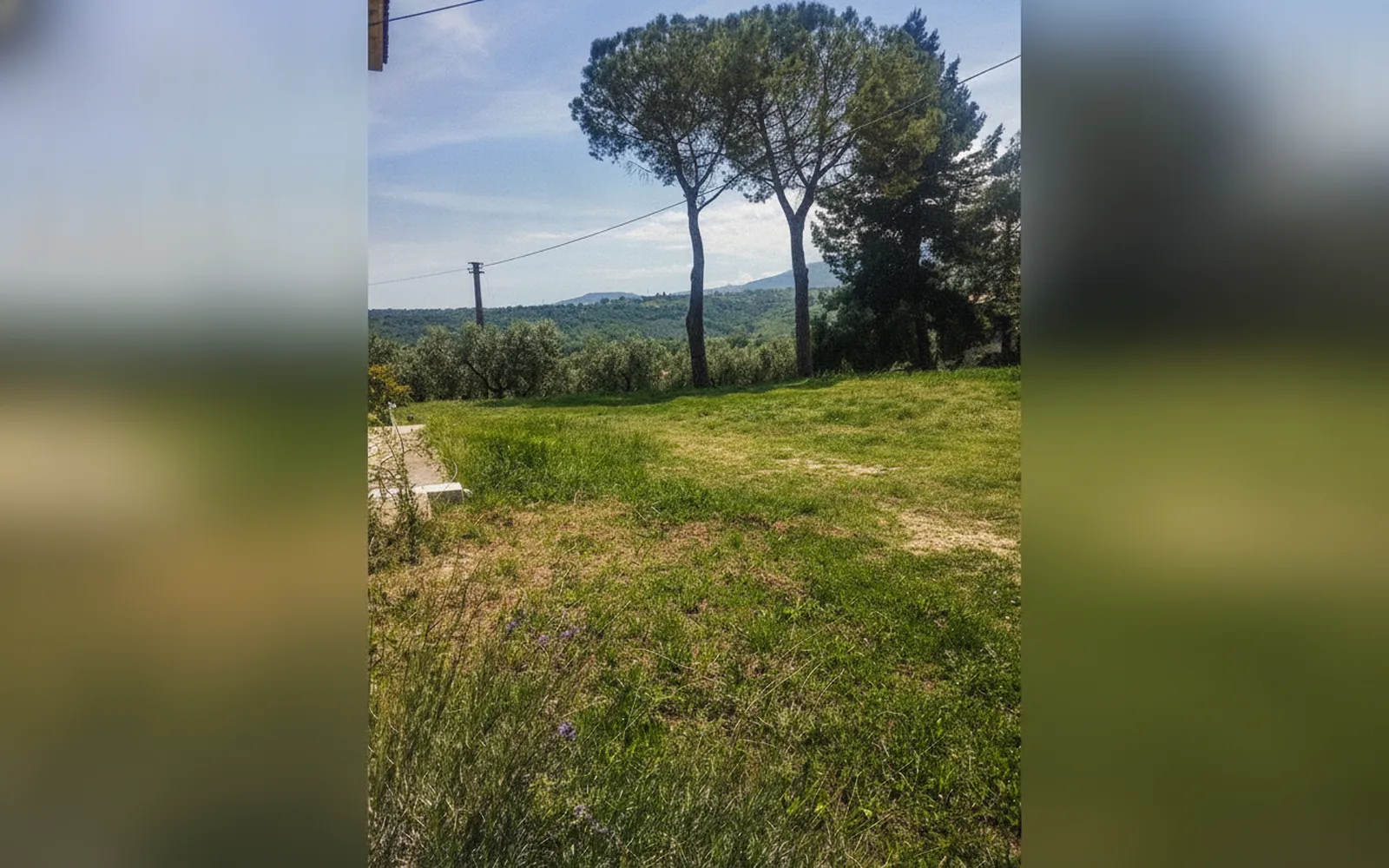 Agriturismo Le Terre d'Abruzzo - Tenuta Grumelli, struttura a Ticchione (Abruzzo) (foto 23)