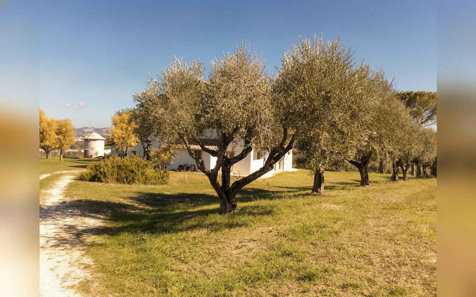 Esterni di Agriturismo Le Terre d'Abruzzo - Tenuta Grumelli, Ticchione (Abruzzo) (foto 5)
