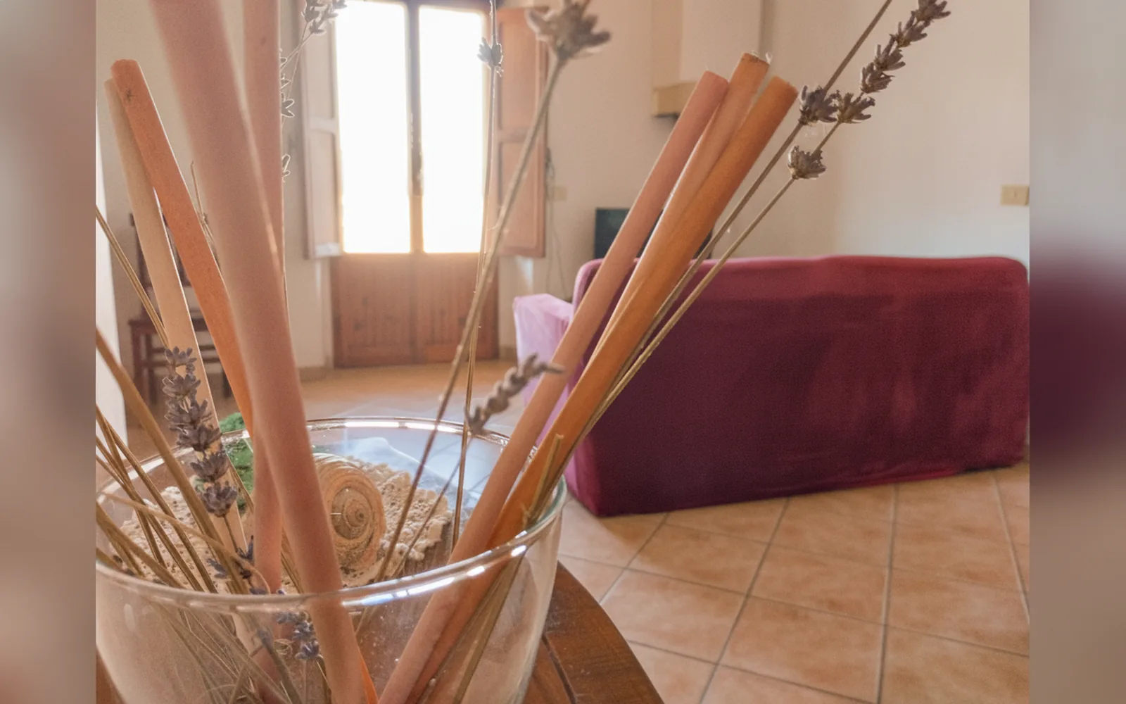 Giardino di Agriturismo Le Terre d'Abruzzo - Tenuta Grumelli, Ticchione (Abruzzo) (foto 54)